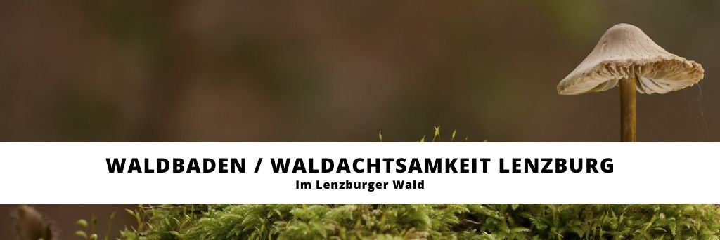 waldbaden lenzburg