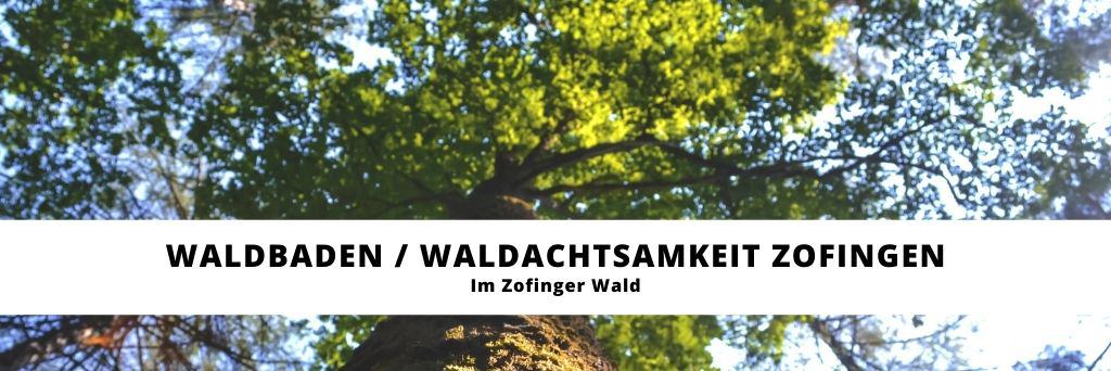 waldbaden zofingen