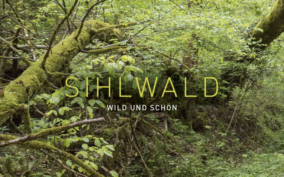 Sihlwald - wild und schön