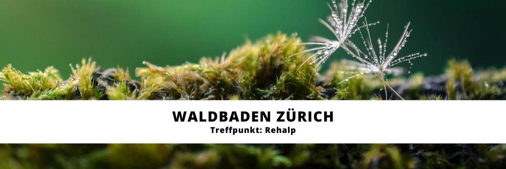 Waldbaden Zürich - Rehalp