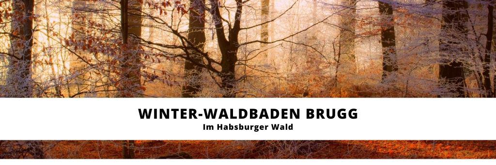 Winter Waldbaden Brugg