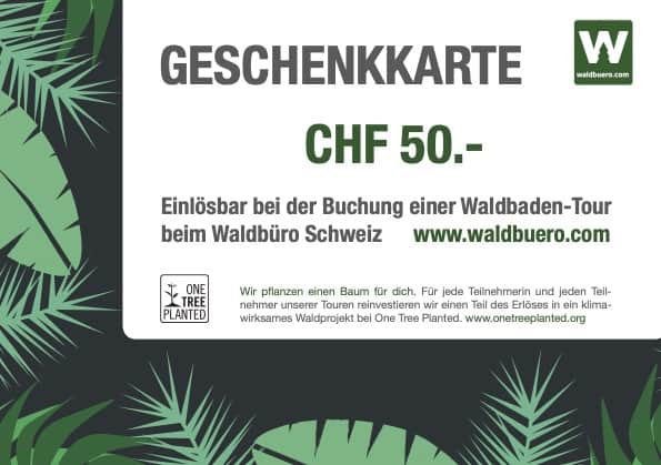 Waldbaden Tour schenken