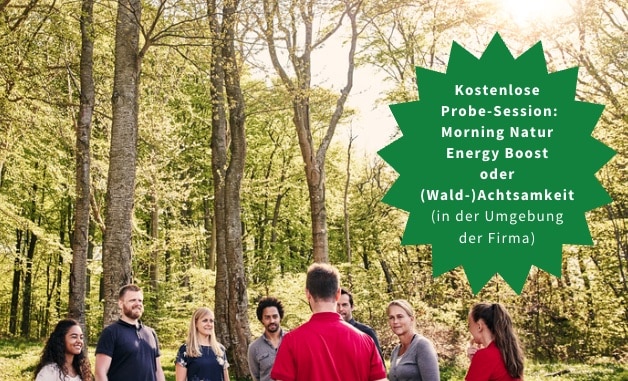 Waldbüro - Ein Büro in und für den Wald